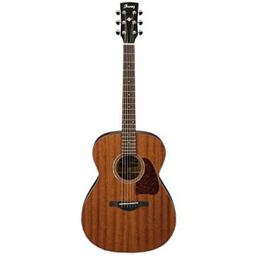 Ibanez AC240OPN Artwood Series Grand Concert Acoustic Guitar Natural Open Pore With Case, Mini Stand, Tuner, Pegwinders, and Polishing Cloth