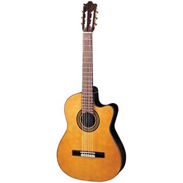 Ibanez GA6CE Amber Electro Classical Guitar With Guitar Bag, Guitar Stand, Snark SN5X Clip-On Tuner &amp; Violin And Custom Designed Instrument Cloth