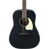 Ibanez PF14WK Mahogany Dreadnought Acoustic Guitar Black