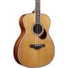 Ibanez AVM10 Artwood Vintage Acoustic Guitar Natural