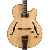 Ibanez PM200 Pat Metheny Signature Hollowbody Electric Guitar Natural