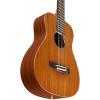 Martin X Series Custom LX Sapele Acoustic Guitar Natural