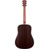 Martin DX1RAE Dreadnought Acoustic Electric - Natural