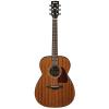 Ibanez AC240OPN Artwood Series Grand Concert Acoustic Guitar Natural Open Pore With Case, Mini Stand, Tuner, Pegwinders, and Polishing Cloth