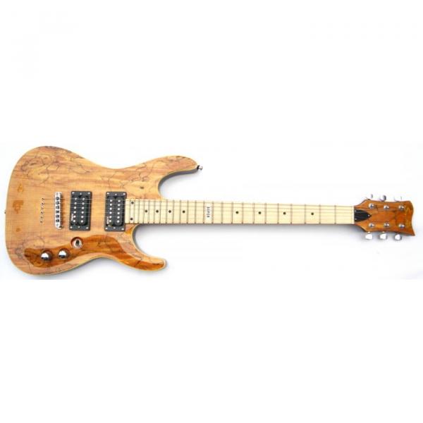 The Top Guitars Brand SRM 890 Dead Wood Electric Guitar #1 image