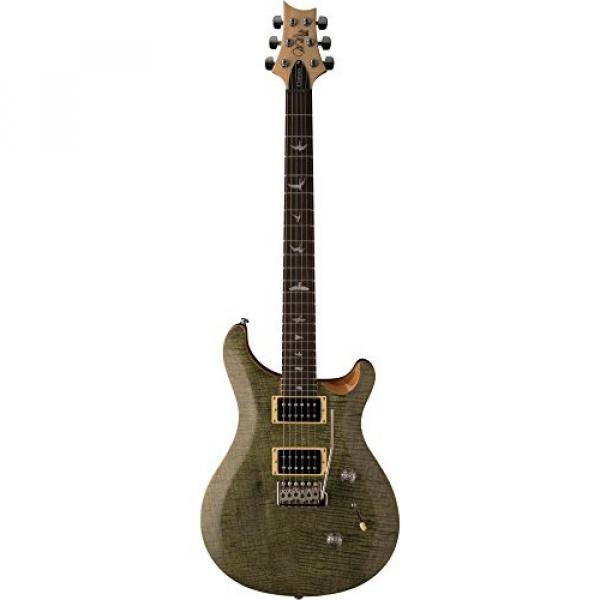 PRS SE Custom 24 - Trampas Green #3 image