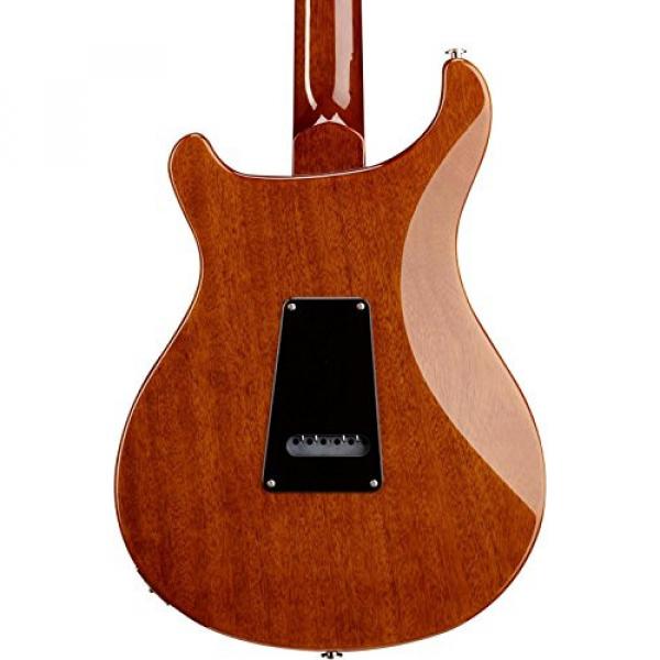 PRS S2 Standard 22 w/Dots - Sienna #2 image